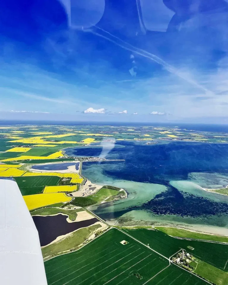 Rundflug-Ostsee-Rapsblute